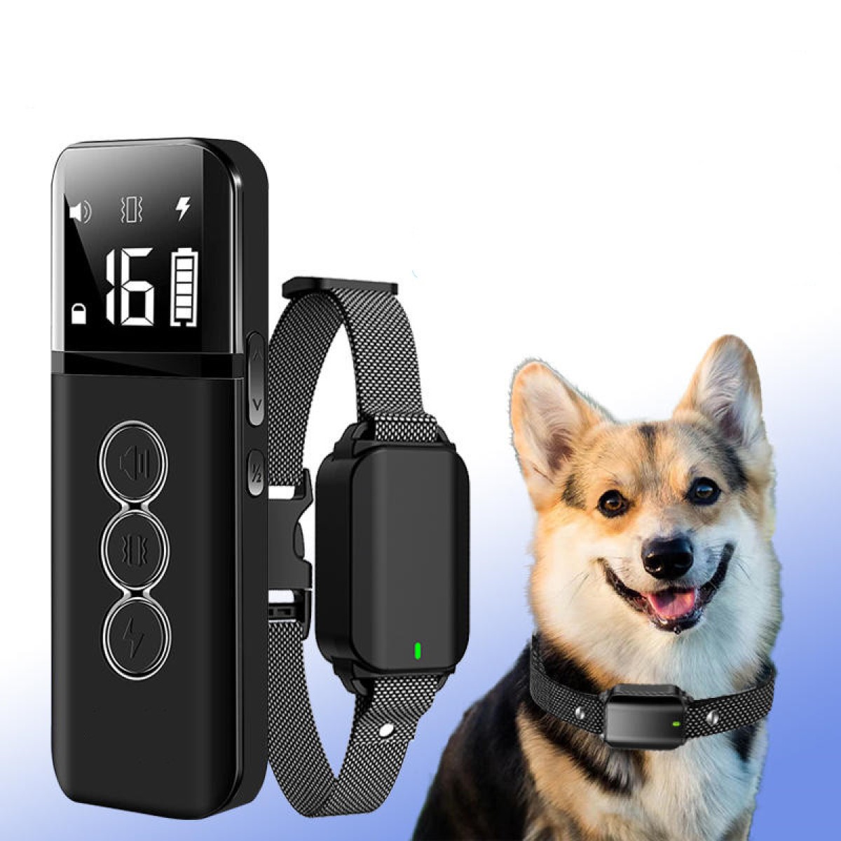 Dog Electric Collar