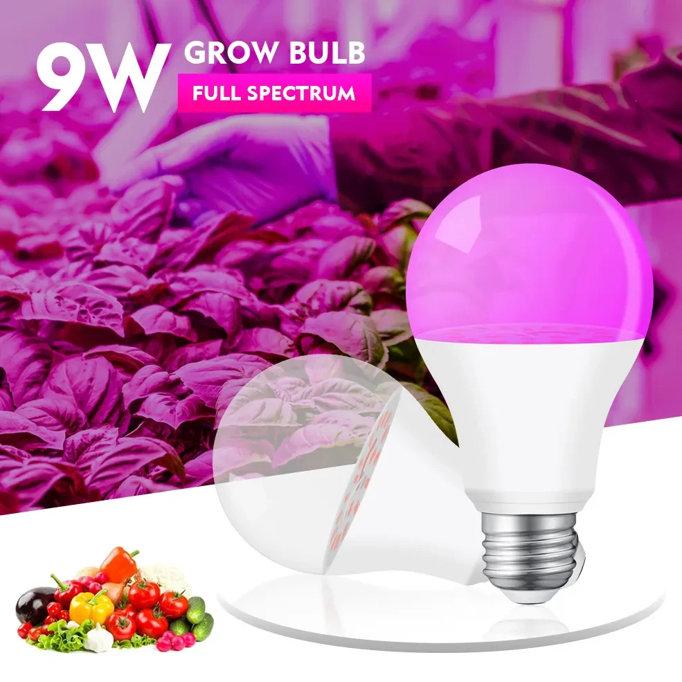 Plant Light Bulbs