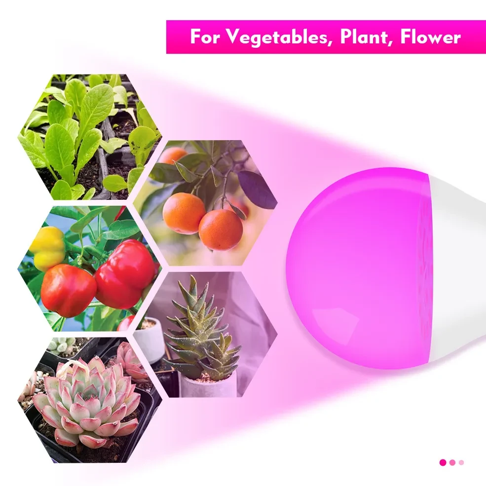 Plant Light Bulbs