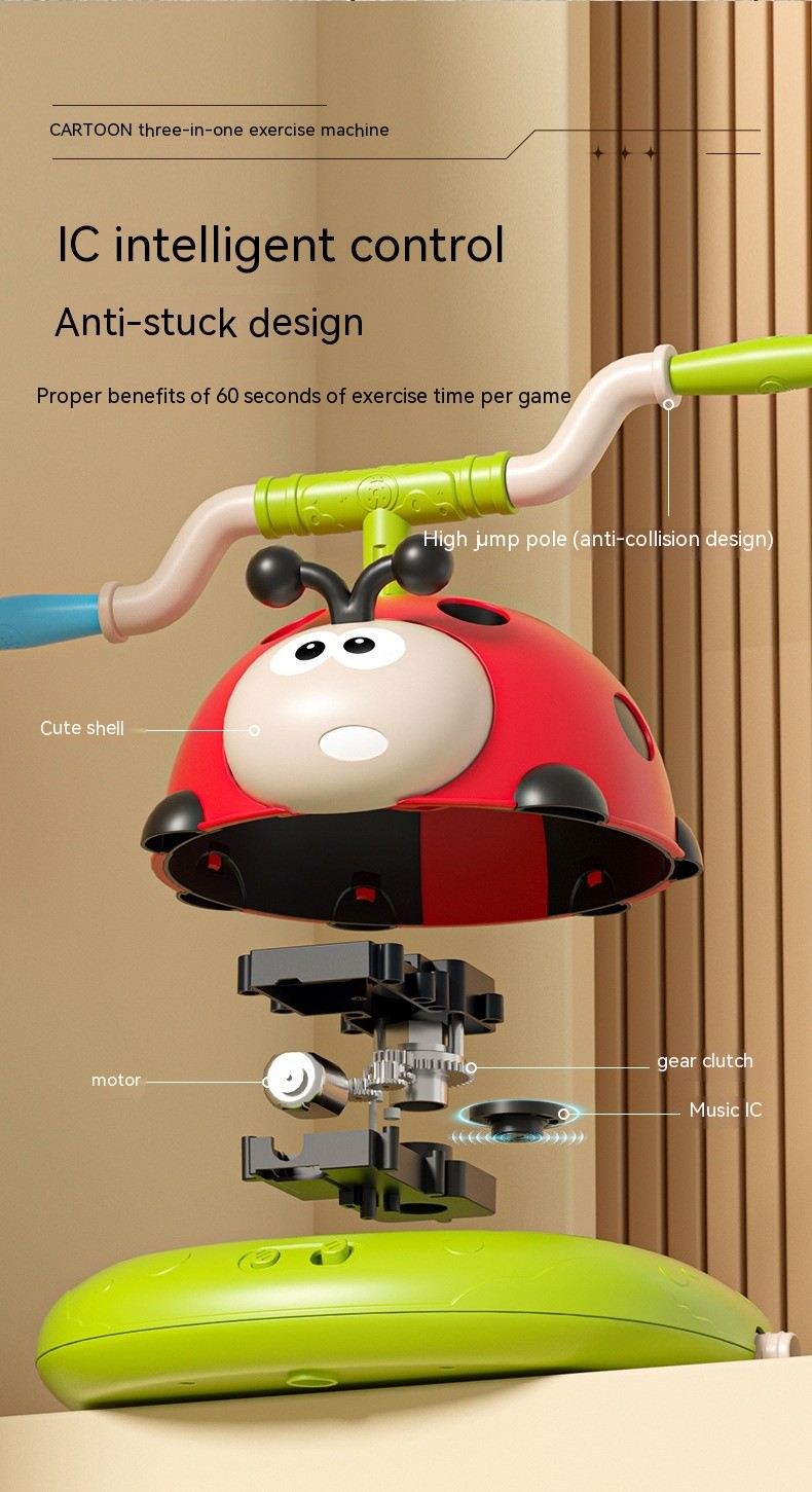 3 in 1 Ladybug Toy