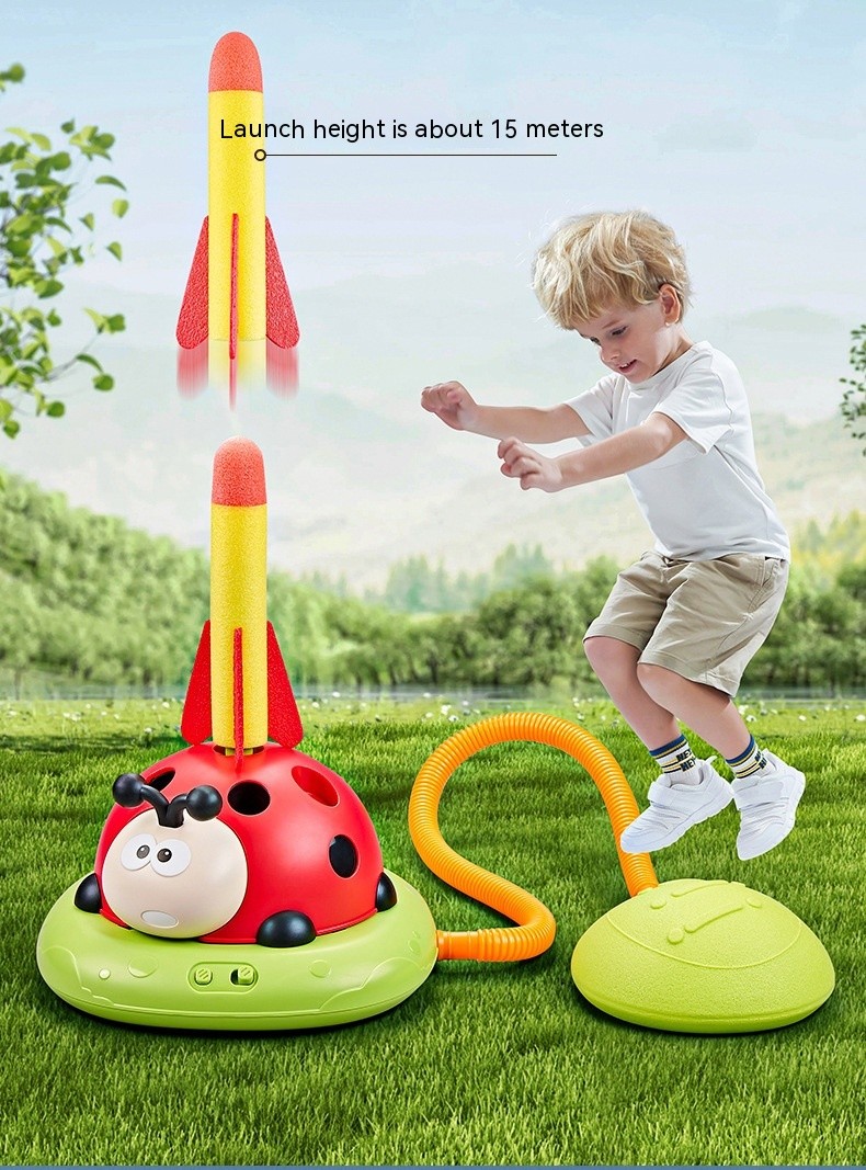 3 in 1 Ladybug Toy