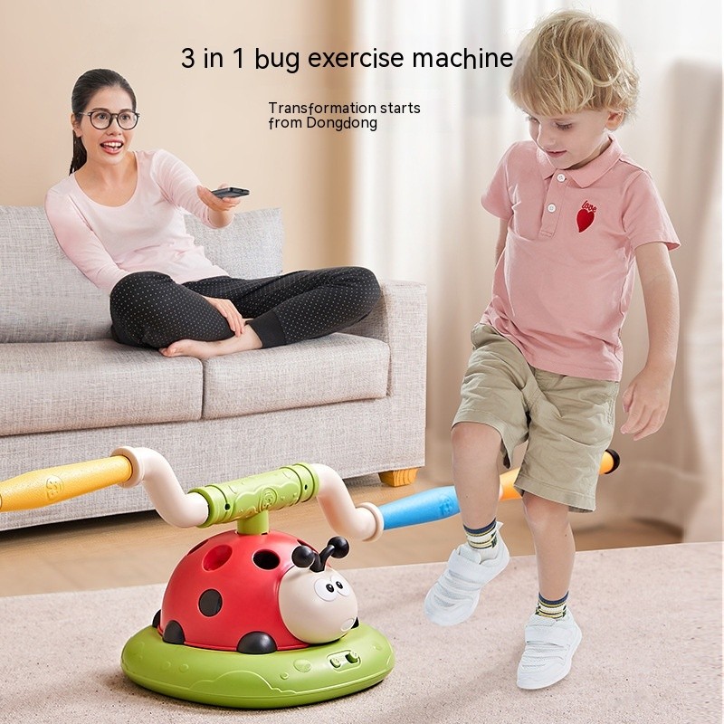 3 in 1 Ladybug Toy