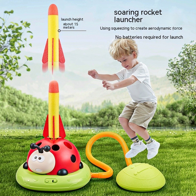 3 in 1 Ladybug Toy