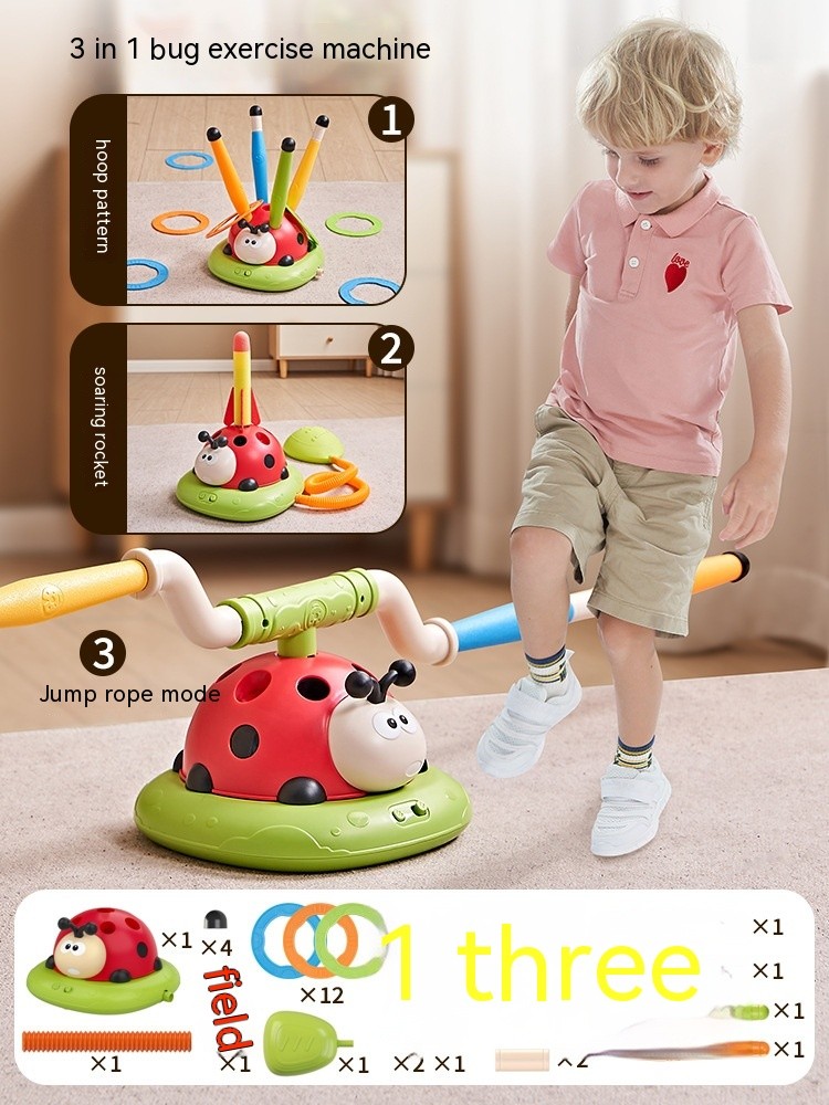 3 in 1 Ladybug Toy