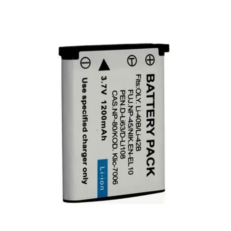 Camera Battery Replacement