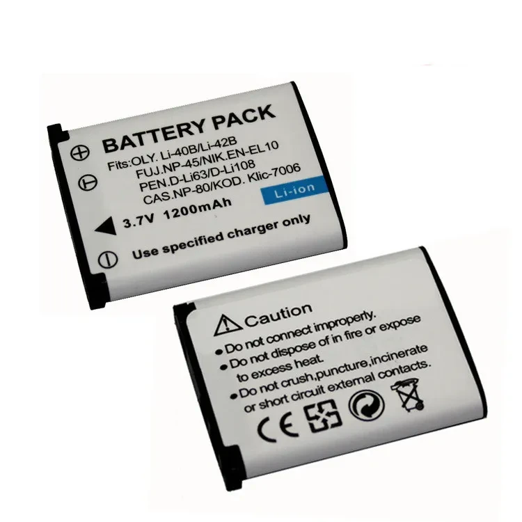 Camera Battery Replacement
