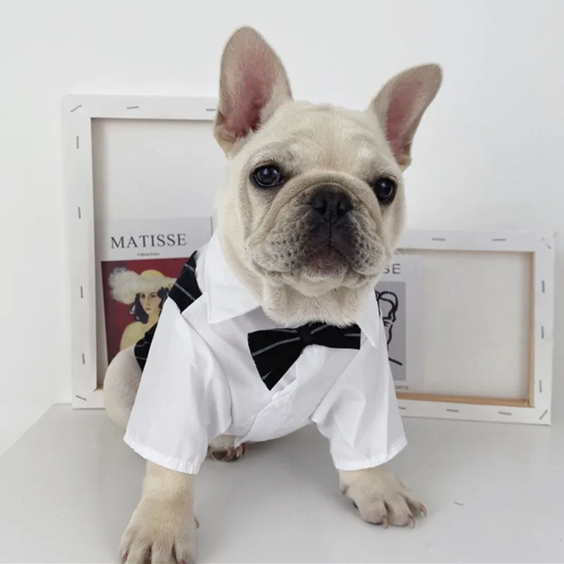 Color: Dark Brown, Size: S - Dog Gentleman Wedding Suit Clothes Dog Suit Bow Tie Clothes Halloween Christmas Costume For Small Dogs Teddy Bulldog