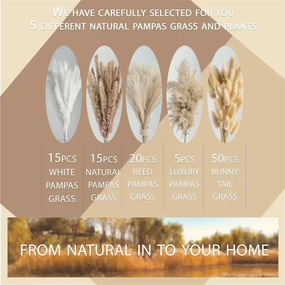 Natural Dried Flowers Pampas Floral Bouquet Boho Country Home Decoration Rabbit Tail Grass Reed Wedding Decor Arrangement