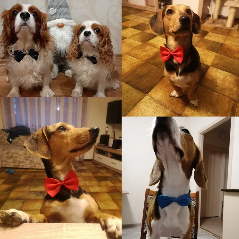Color: PURPLE - Pet Dog Cat Necklace Adjustable Strap for Cat Collar Dogs Accessories pet dog bow tie puppy bow ties dog Pet supplies