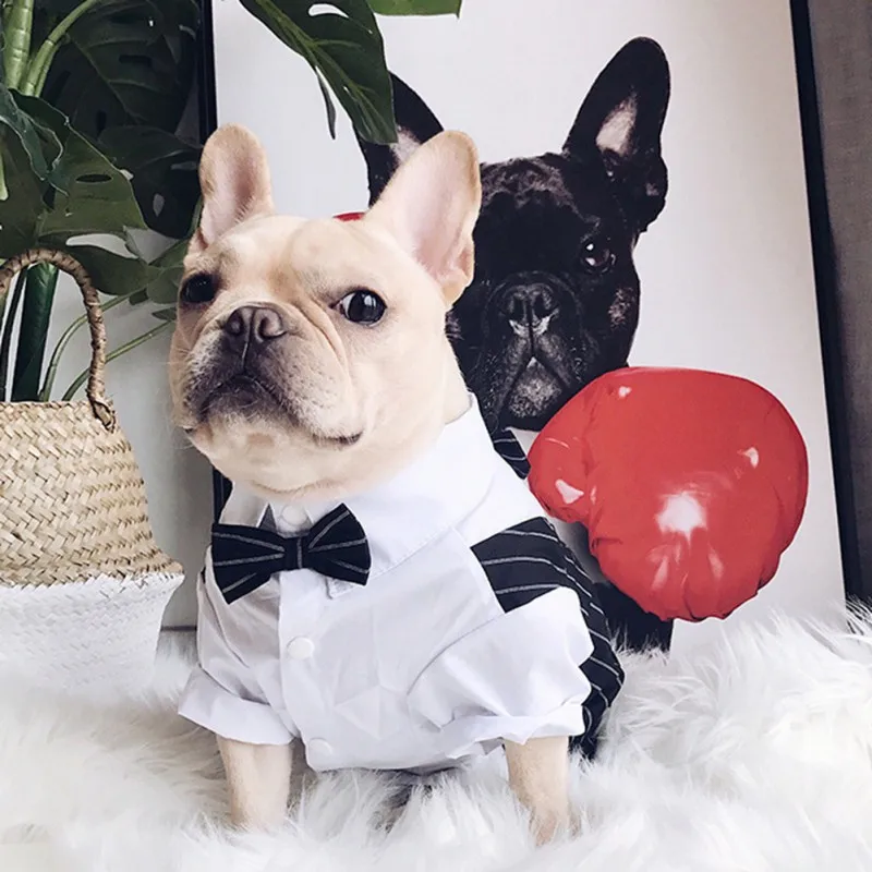 Color: Red, Size: 5XL - Dog Gentleman Wedding Suit Clothes Dog Suit Bow Tie Clothes Halloween Christmas Costume For Small Dogs Teddy Bulldog