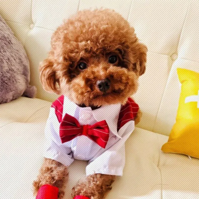 Color: Red, Size: 5XL - Dog Gentleman Wedding Suit Clothes Dog Suit Bow Tie Clothes Halloween Christmas Costume For Small Dogs Teddy Bulldog