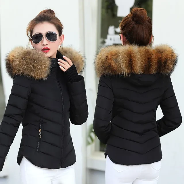 womens winter Jackets NZ