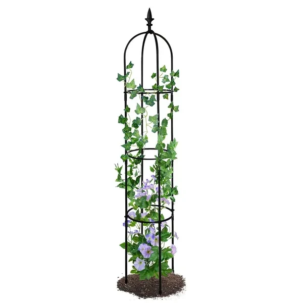 Garden Obelisk