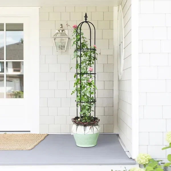 Garden Obelisk
