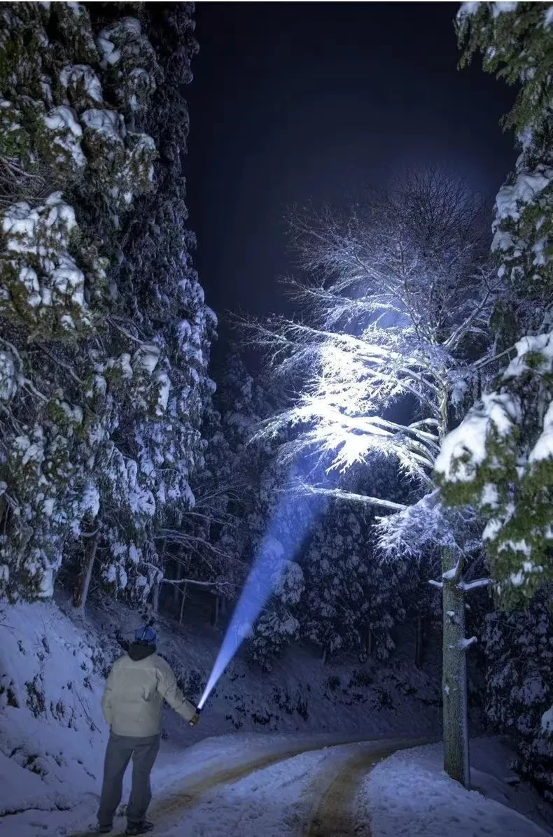 Childrens Torch NZ