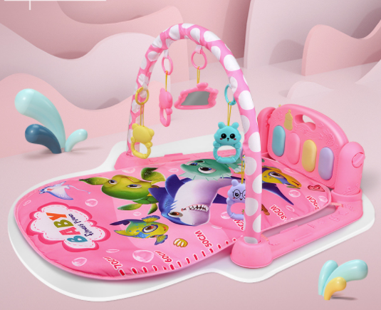 Baby Play Gym NZ