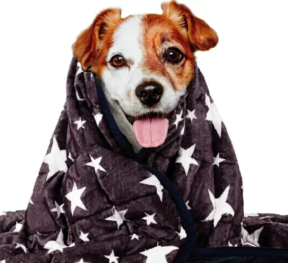 Blanket for Dog