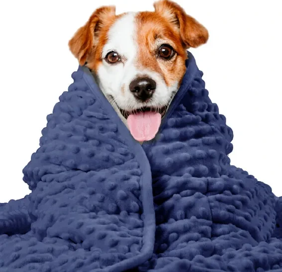 Blanket for Dog