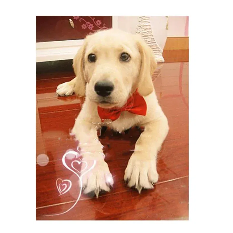 Color: Black - Pet Dog Cat Necklace Adjustable Strap for Cat Collar Dogs Accessories pet dog bow tie puppy bow ties dog Pet supplies