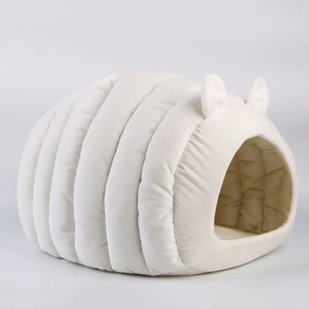 Cat Cave Beds NZ