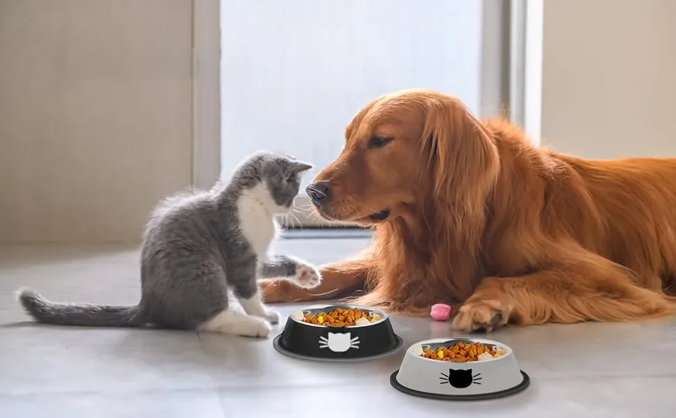 Cat Food Bowls