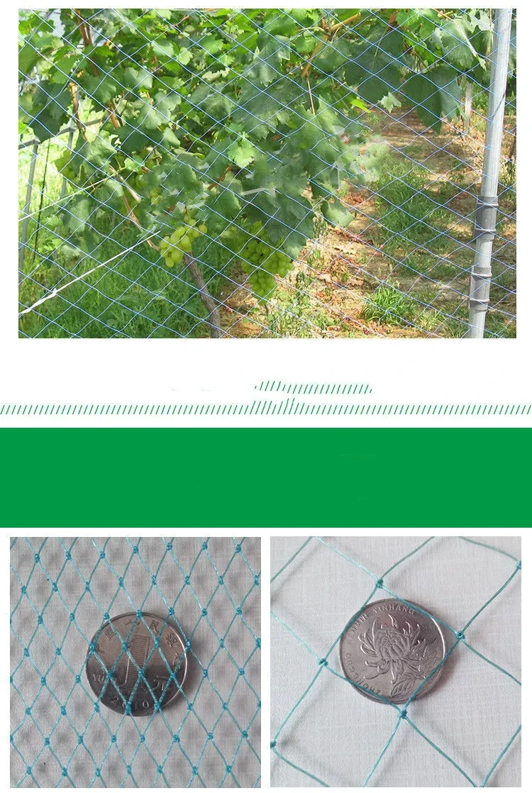 Chicken Mesh NZ
