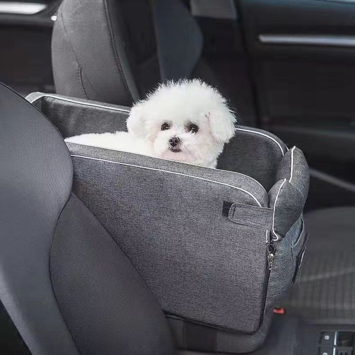 Dog Seat Cover NZ