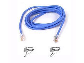 Patch cable - rj-45 (m) - rj-45 (m) - 8 ft - utp - ( cat 5e ) - blue