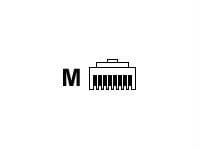 Network connector - rj-45 (m) - ( cat 6 )