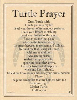 Turtle Prayer poster