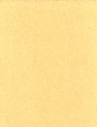 Light Parchment 5 Pack (8 1/2" x 11")