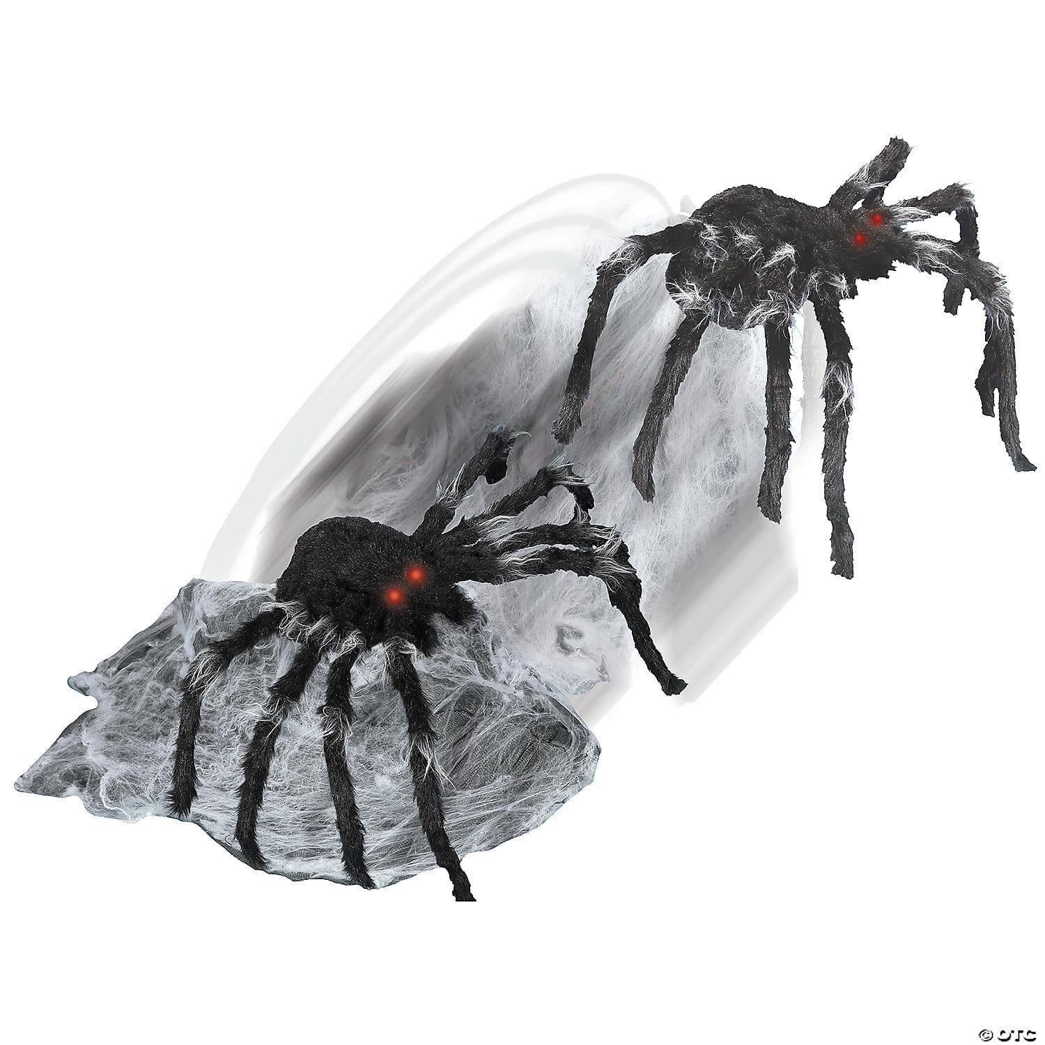 JUMPING SPIDER