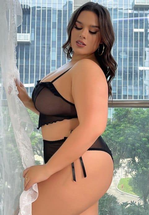 Plus Size Sheer To Stay Bra Set