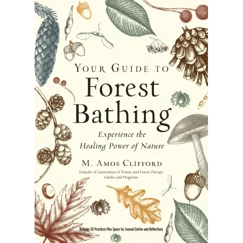 Your Guide to Forest Bathing (Expanded Edition): Experience the Healing Power of Nature - Paperback