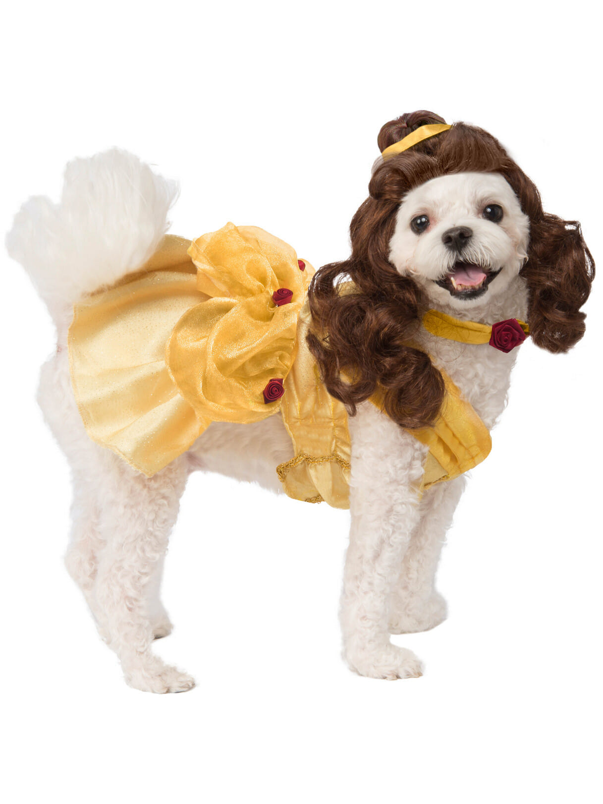 Belle Pet Costume XL 28