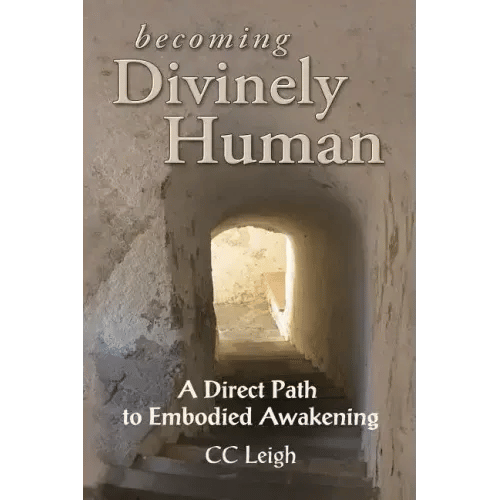 Becoming Divinely Human: A Direct Path to Embodied Awakening - Paperback