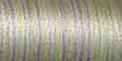 Sulky Blendables Thread 30wt 500yd Heather