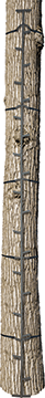 Big Game The Quick-Stick Climbing Stick 20 ft.
