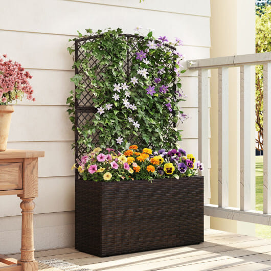 49 Inch Raised Garden Bed with Trellis and Wicker Planter Box-Brown