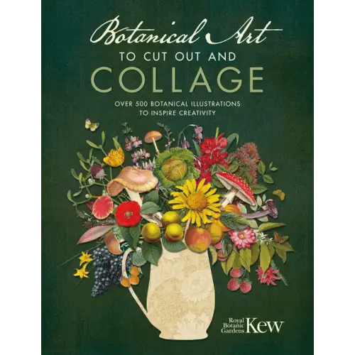 Botanical Art to Cut Out and Collage: Over 500 Botanical Illustrations to Inspire Creativity - Paperback