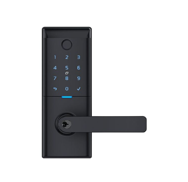 Schlage Ascent Smart Entrance Lever Lock