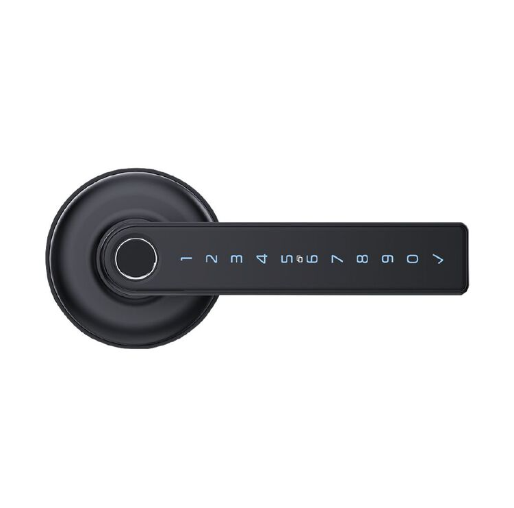 Schlage Ascent Smart Lever Lock - Black