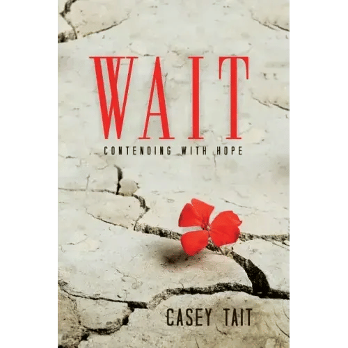 Wait - Paperback