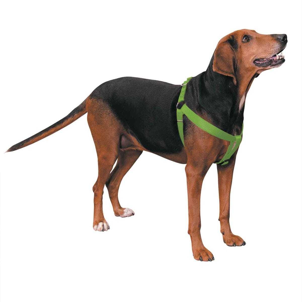 Casual Canine Two-Step Harness 9-15 x 3/8 in Flamingo Pink