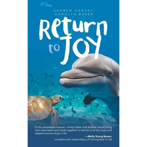 Return to Joy - Paperback