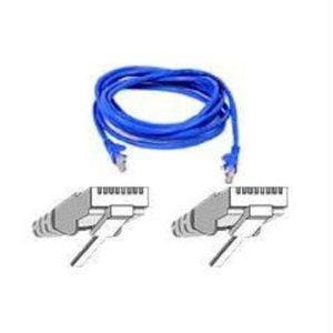 Category 5e rj-45 male to rj-45 male snagless molded 2 foot blue patch cable
