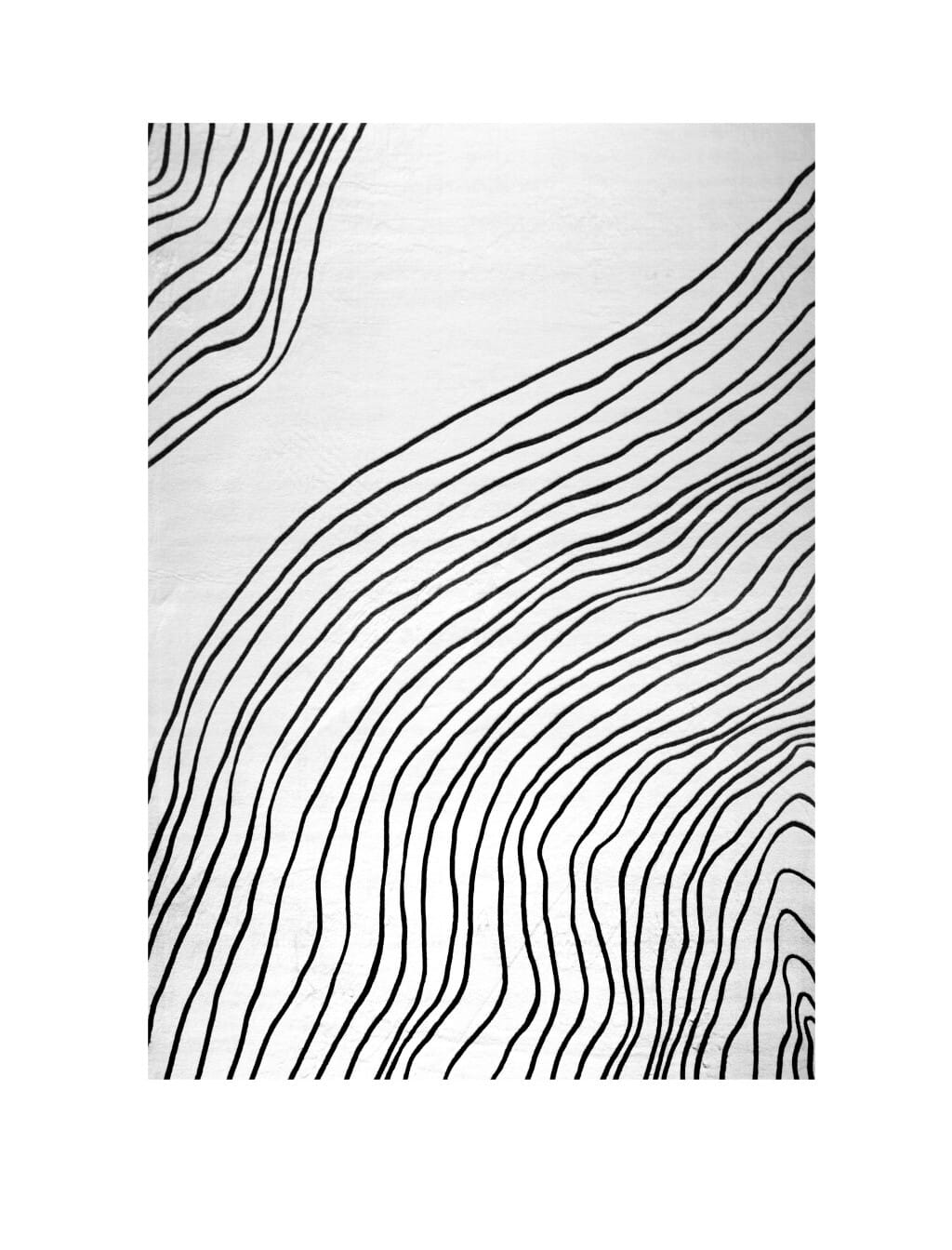 4' X 6' Black and White Abstract Area Rug