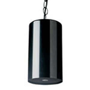 Pendant Speaker - Black
