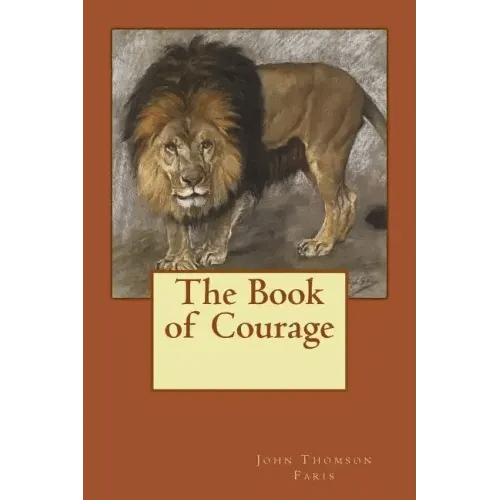 The Book of Courage - Paperback