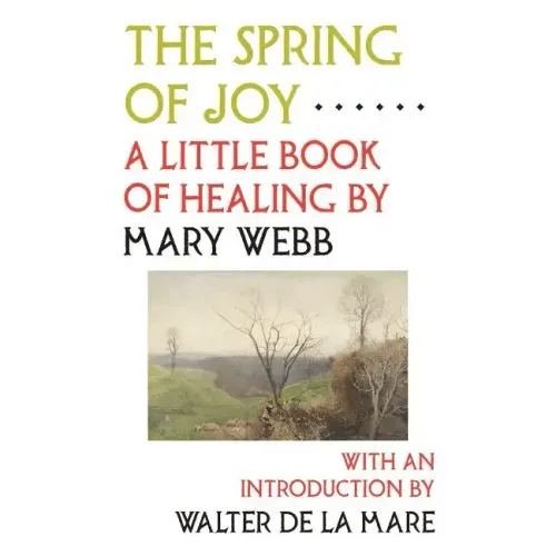 The Spring of Joy: A Little Book of Healing - Paperback